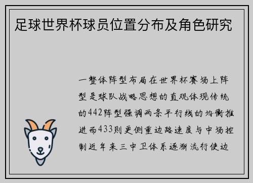 足球世界杯球员位置分布及角色研究